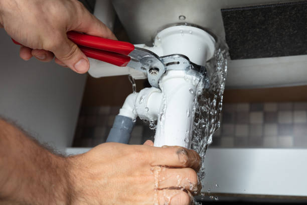 Best Water damage cleanup near me  in Wheaton, MN