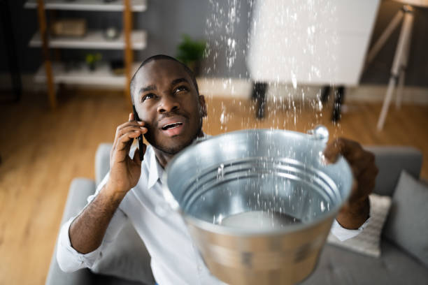 Best Commercial water damage restoration  in Wheaton, MN