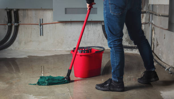 Best Mold removal after water damage  in Wheaton, MN