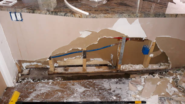 Best Local water damage restoration  in Wheaton, MN