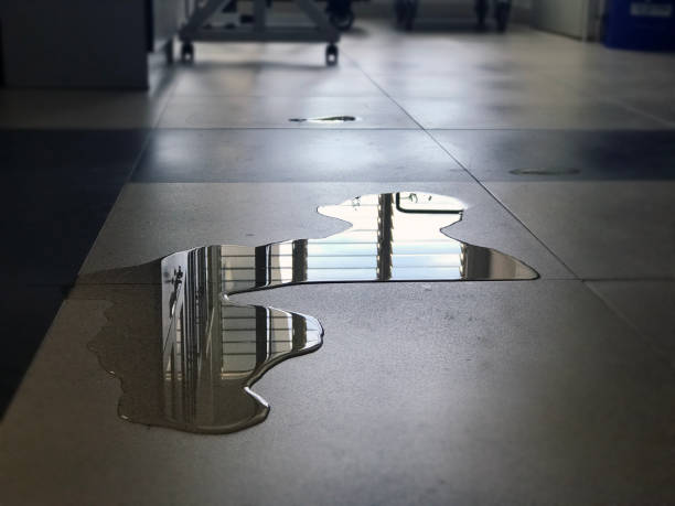 Best Carpet water damage restoration  in Wheaton, MN