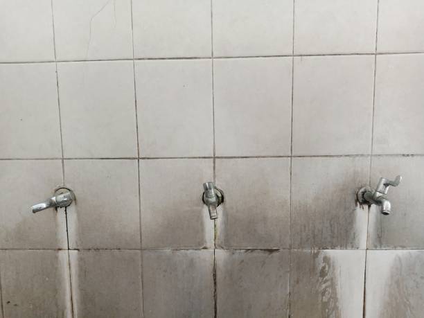 Best Flood damage cleanup  in Wheaton, MN
