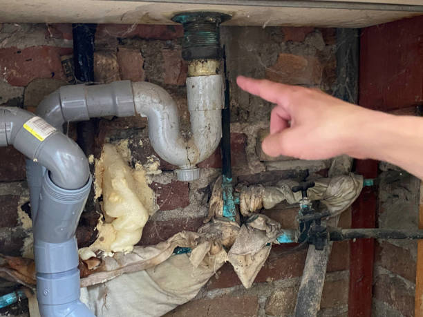 Best Flood restoration services  in Wheaton, MN