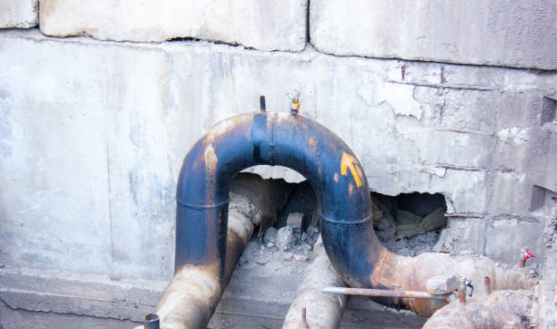 Best Professional water damage repair  in Wheaton, MN